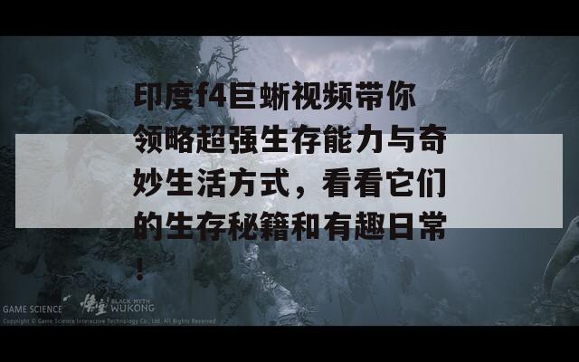 印度f(wàn)4巨蜥視頻帶你領(lǐng)略超強(qiáng)生存能力與奇妙生活方式，看看它們的生存秘籍和有趣日常！