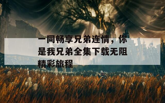一同暢享兄弟連情，你是我兄弟全集下載無阻精彩旅程