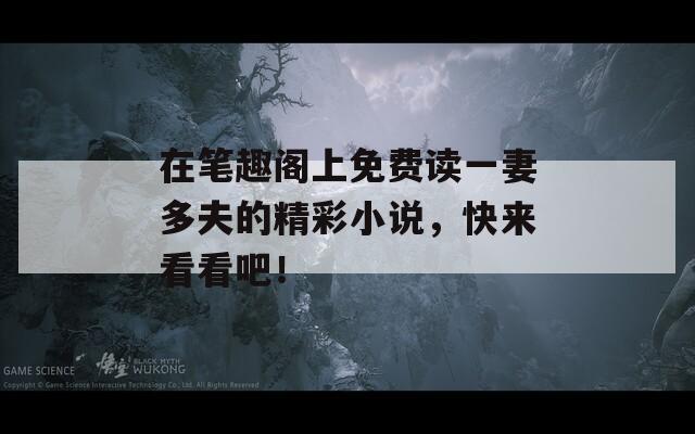在筆趣閣上免費讀一妻多夫的精彩小說，快來看看吧！