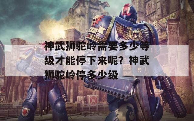 神武獅駝嶺需要多少等級(jí)才能停下來呢？神武獅駝嶺停多少級(jí)
