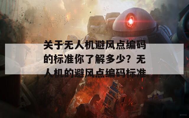 關(guān)于無人機避風(fēng)點編碼的標(biāo)準(zhǔn)你了解多少？無人機的避風(fēng)點編碼標(biāo)準(zhǔn)