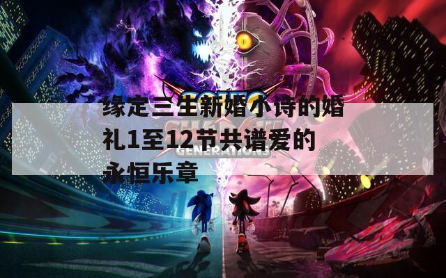 緣定三生新婚小詩(shī)的婚禮1至12節(jié)共譜愛(ài)的永恒樂(lè)章