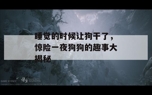睡覺的時候讓狗干了，驚險一夜狗狗的趣事大揭秘