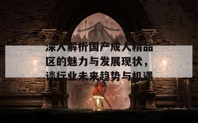 深入解析國產(chǎn)成人精品區(qū)的魅力與發(fā)展現(xiàn)狀，談行業(yè)未來趨勢與機(jī)遇