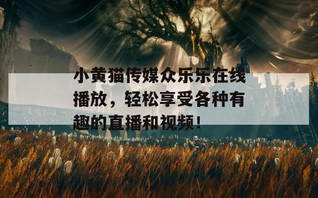小黃貓傳媒眾樂樂在線播放，輕松享受各種有趣的直播和視頻！