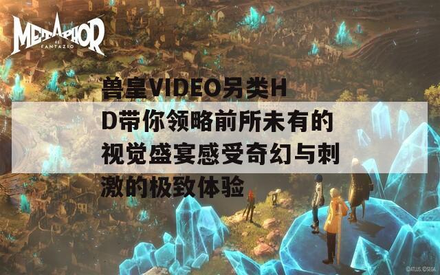 獸皇VIDEO另類HD帶你領略前所未有的視覺盛宴感受奇幻與刺激的極致體驗