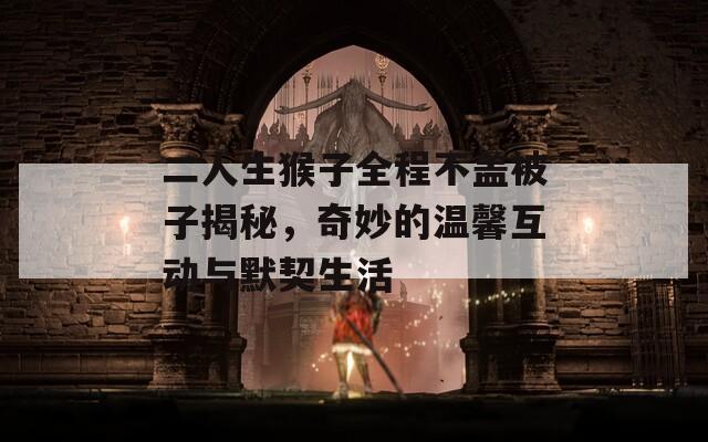 二人生猴子全程不蓋被子揭秘，奇妙的溫馨互動與默契生活