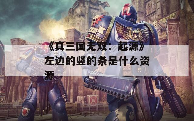 《真三國(guó)無(wú)雙：起源》左邊的豎的條是什么資源