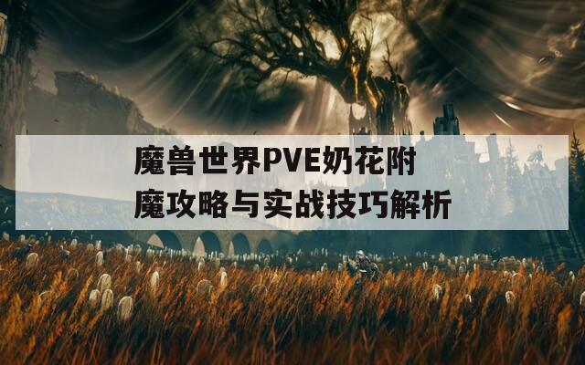 魔獸世界PVE奶花附魔攻略與實(shí)戰(zhàn)技巧解析