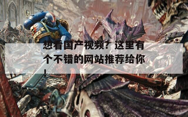 想看國產(chǎn)視頻？這里有個不錯的網(wǎng)站推薦給你！