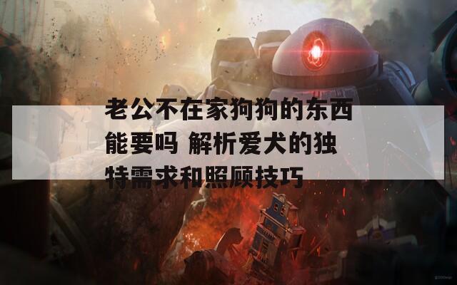 老公不在家狗狗的東西能要嗎 解析愛犬的獨(dú)特需求和照顧技巧