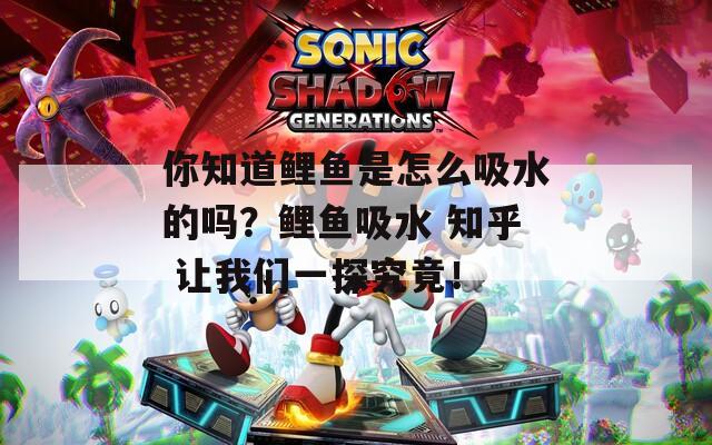 你知道鯉魚是怎么吸水的嗎？鯉魚吸水 知乎 讓我們一探究竟！