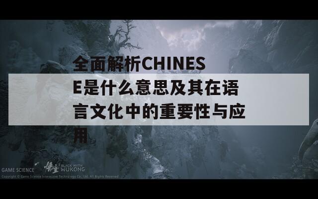 全面解析CHINESE是什么意思及其在語言文化中的重要性與應用