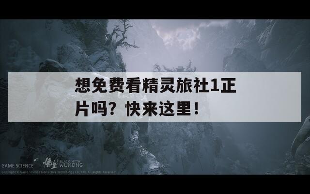 想免費(fèi)看精靈旅社1正片嗎？快來這里！