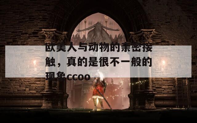 歐美人與動(dòng)物的親密接觸，真的是很不一般的現(xiàn)象ccoo