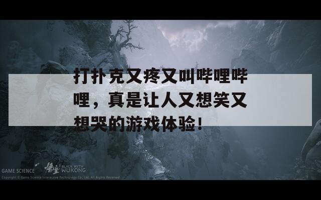 打撲克又疼又叫嗶哩嗶哩，真是讓人又想笑又想哭的游戲體驗！