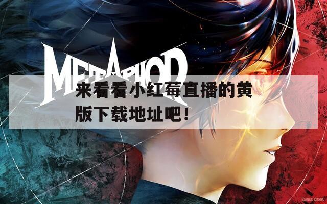 來(lái)看看小紅莓直播的黃版下載地址吧！