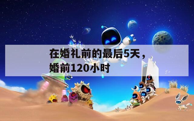 在婚禮前的最后5天，婚前120小時