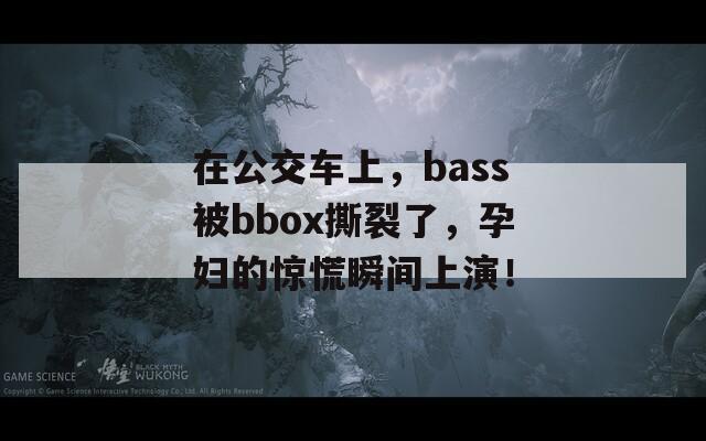 在公交車(chē)上，bass被bbox撕裂了，孕婦的驚慌瞬間上演！