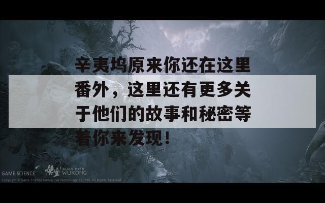 辛夷塢原來你還在這里番外，這里還有更多關(guān)于他們的故事和秘密等著你來發(fā)現(xiàn)！