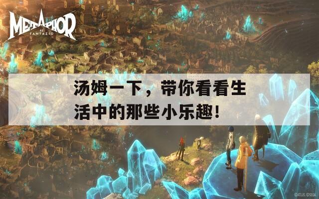 湯姆一下，帶你看看生活中的那些小樂趣！