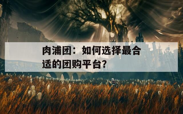 肉浦團(tuán)：如何選擇最合適的團(tuán)購(gòu)平臺(tái)？