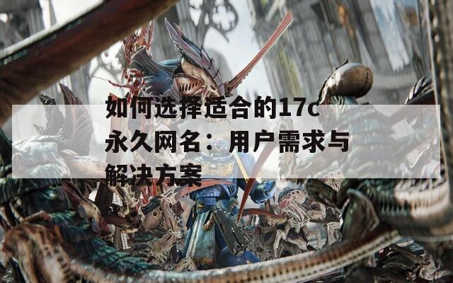 如何選擇適合的17c永久網(wǎng)名：用戶需求與解決方案