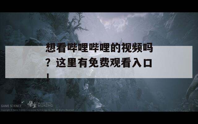 想看嗶哩嗶哩的視頻嗎？這里有免費觀看入口！