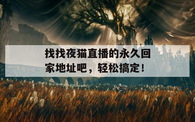 找找夜貓直播的永久回家地址吧，輕松搞定！