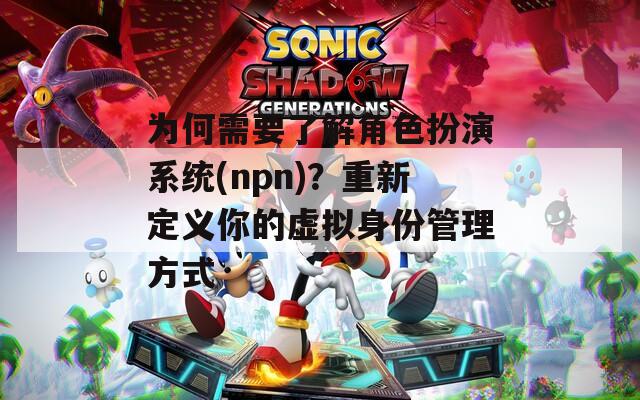 為何需要了解角色扮演系統(tǒng)(npn)？重新定義你的虛擬身份管理方式