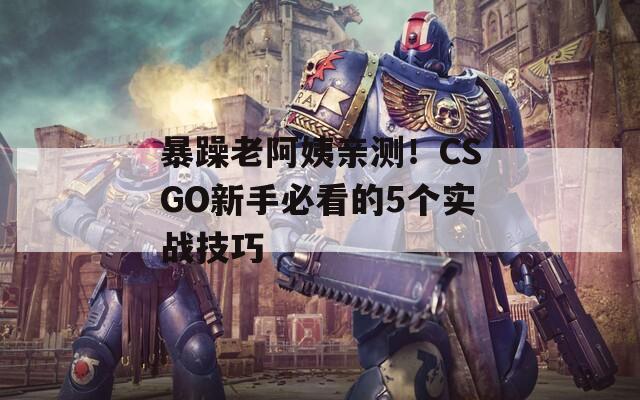 暴躁老阿姨親測！CSGO新手必看的5個實戰(zhàn)技巧