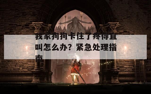 我家狗狗卡住了疼得直叫怎么辦？緊急處理指南