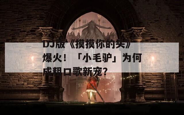 DJ版《摸摸你的頭》爆火！「小毛驢」為何成粗口歌新寵？