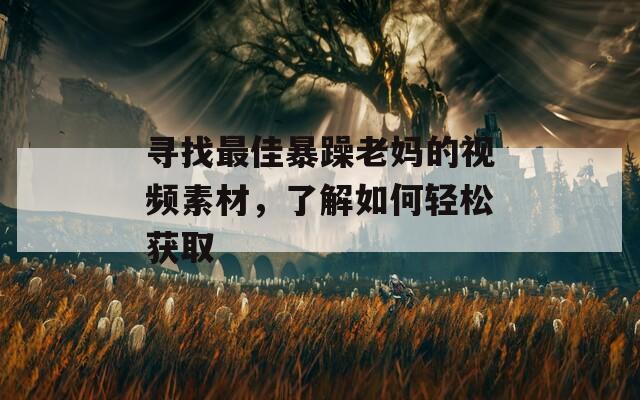 尋找最佳暴躁老媽的視頻素材，了解如何輕松獲取