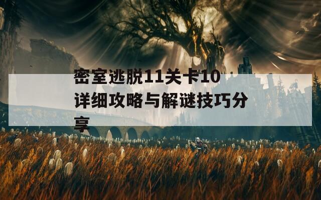 密室逃脫11關(guān)卡10詳細攻略與解謎技巧分享