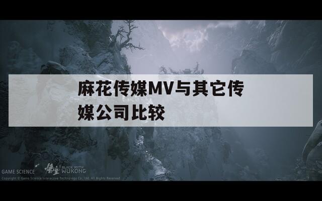 麻花傳媒MV與其它傳媒公司比較