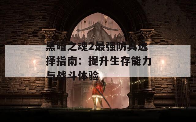 黑暗之魂2最強(qiáng)防具選擇指南：提升生存能力與戰(zhàn)斗體驗(yàn)