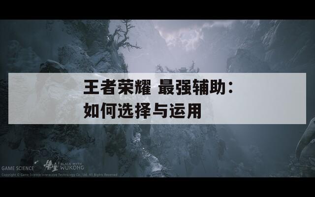 王者榮耀 最強輔助：如何選擇與運用