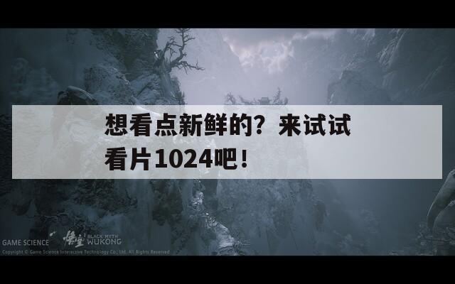 想看點新鮮的？來試試看片1024吧！