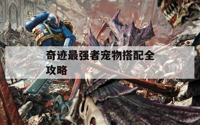 奇跡最強(qiáng)者寵物搭配全攻略