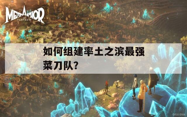 如何組建率土之濱最強(qiáng)菜刀隊(duì)？