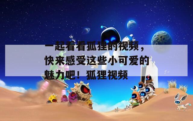 一起看看狐貍的視頻，快來感受這些小可愛的魅力吧！狐貍視頻