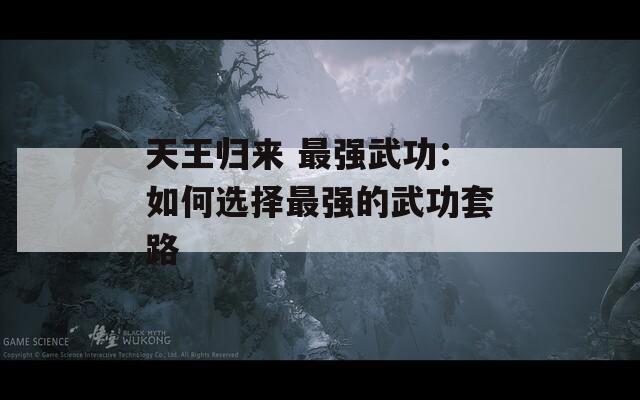 天王歸來 最強(qiáng)武功：如何選擇最強(qiáng)的武功套路