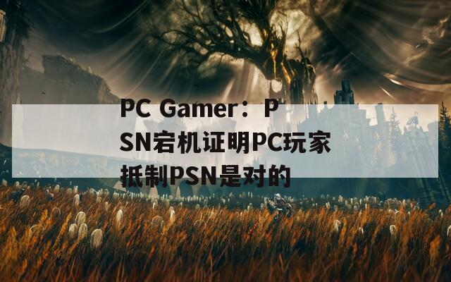 PC Gamer：PSN宕機證明PC玩家抵制PSN是對的