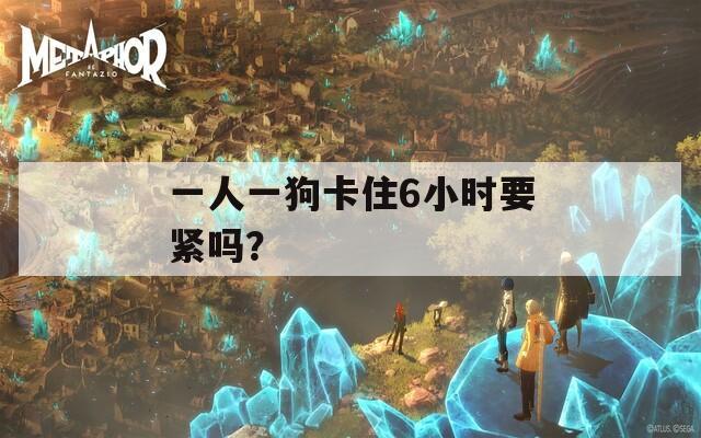 一人一狗卡住6小時(shí)要緊嗎？