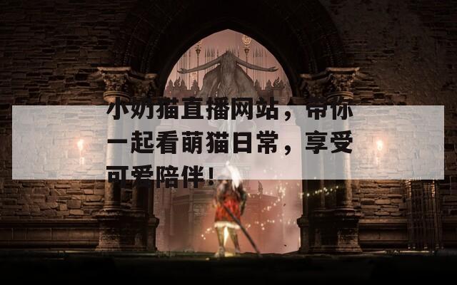 小奶貓直播網(wǎng)站，帶你一起看萌貓日常，享受可愛陪伴！