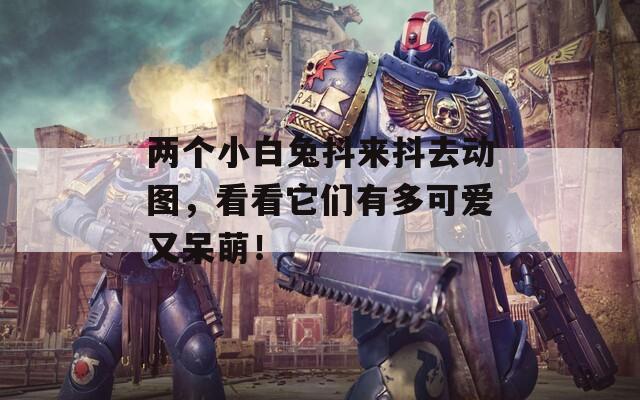 兩個小白兔抖來抖去動圖，看看它們有多可愛又呆萌！
