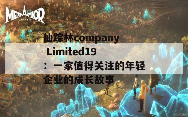 仙蹤林company Limited19：一家值得關(guān)注的年輕企業(yè)的成長故事