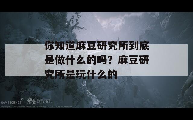 你知道麻豆研究所到底是做什么的嗎？麻豆研究所是玩什么的