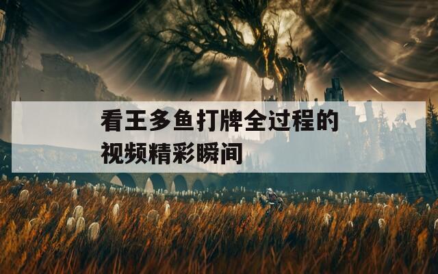 看王多魚打牌全過程的視頻精彩瞬間